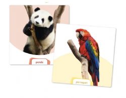 JEU LE DÉ DES PREMIERS MOTS - LES ANIMAUX (EXTENSION)